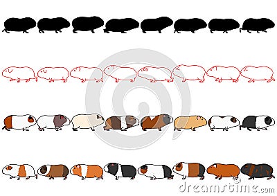 Guinea pigs in a row set Vector Illustration