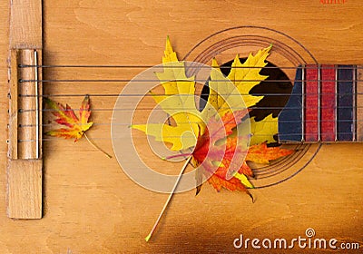 Guitar in autumn leaves. Stock Photo