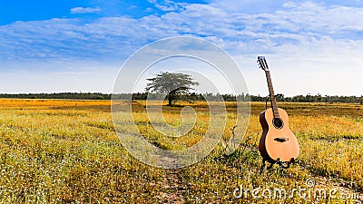 The guitar with meadow background Stock Photo