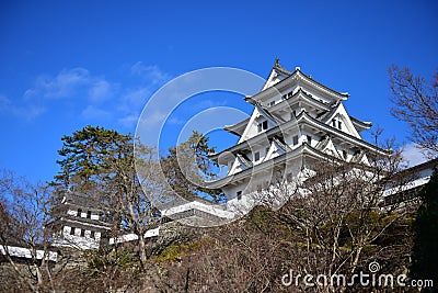 Gujo Hachiman Castle built in 1559 on a hilltop in Japan Stock Photo