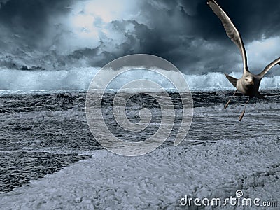 Gull escaping storm over sea Stock Photo