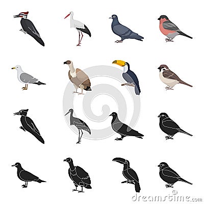 Gull, toucan and other species. Birds set collection icons in black,cartoon style vector symbol stock illustration web. Vector Illustration