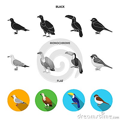 Gull, toucan and other species. Birds set collection icons in black, flat, monochrome style vector symbol stock Vector Illustration