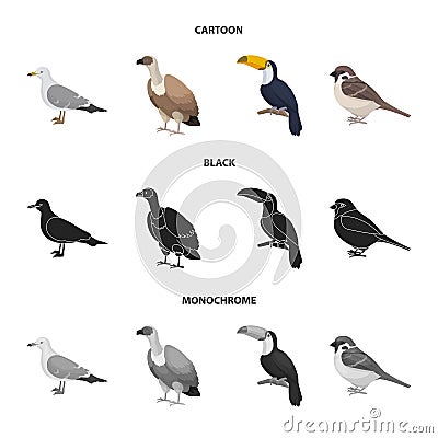 Gull, toucan and other species. Birds set collection icons in cartoon,black,monochrome style vector symbol stock Vector Illustration