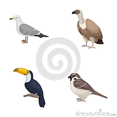 Gull, toucan and other species. Birds set collection icons in cartoon style vector symbol stock illustration web. Vector Illustration