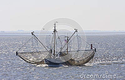 Gulls behind dutch shrimper, Wadden Sea, Ameland Editorial Stock Photo