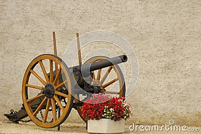 Gun and begonias Stock Photo