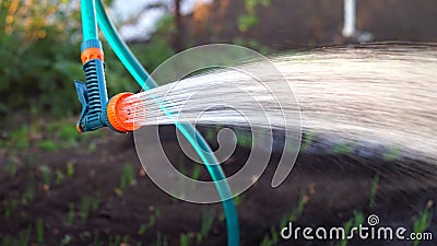 Gun for irrigation on the hose Stock Photo
