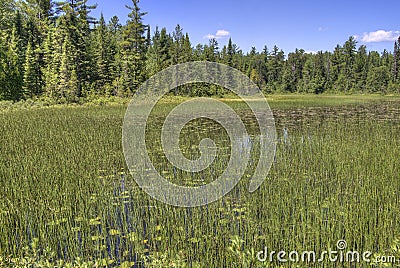 Gunflint Trail in Superior National Forest, Minnesota Stock Photo