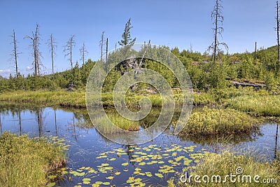 Gunflint Trail in Superior National Forest, Minnesota Stock Photo