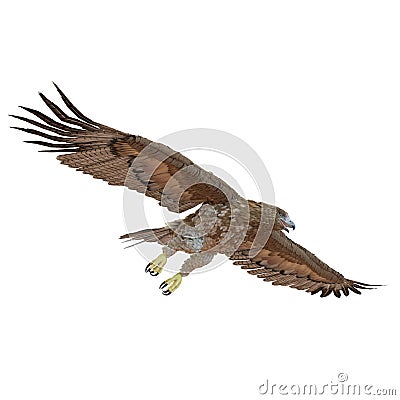 Gurney Eagle on white. 3D illustration Cartoon Illustration