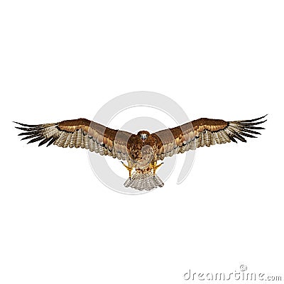 Gurney Eagle on white. Front view. 3D illustration Cartoon Illustration