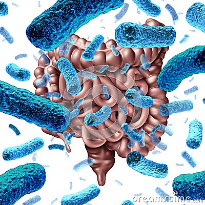 Gut Bacteria Stock Photo