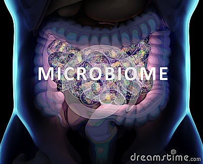 Gut bacteria , gut flora, microbiome. Bacteria inside the small intestine, concept, representation. 3D illustration Stock Photo