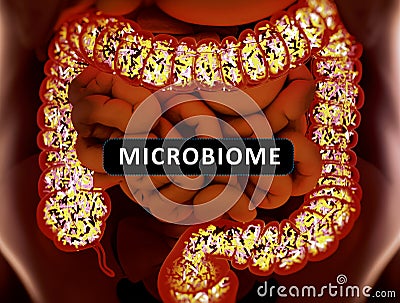 Gut bacteria, microbiome. Bacteria inside the large intestine, concept, representation. 3D illustration Cartoon Illustration