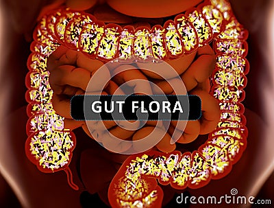 Gut bacteria, microbiome. Bacteria inside the large intestine, concept, representation. 3D illustration Cartoon Illustration