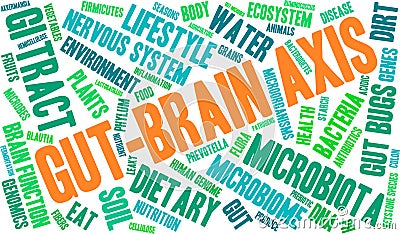 Gut-Brain Axis Word Cloud Vector Illustration