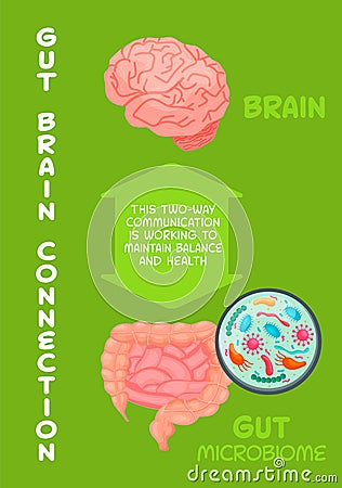 Gut-brain connection. Medical, scientific, healthcare concept. Vector Vector Illustration