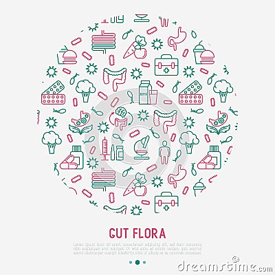 Gut flora concept in circle with thin line icons Vector Illustration