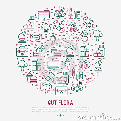 Gut flora concept in circle with thin line icons Vector Illustration