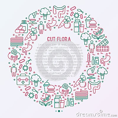 Gut flora concept in circle with thin line icons Vector Illustration