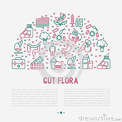 Gut flora concept in half circle Vector Illustration