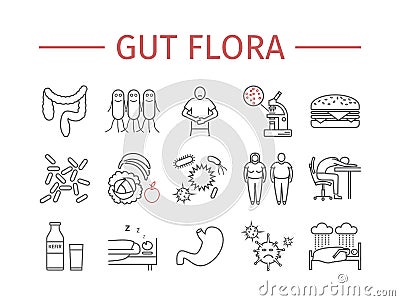 Gut flora. Line icons set. Vector Illustration