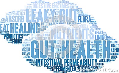 Gut Health Word Cloud Vector Illustration