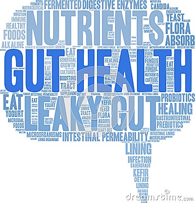 Gut Health Word Cloud Vector Illustration