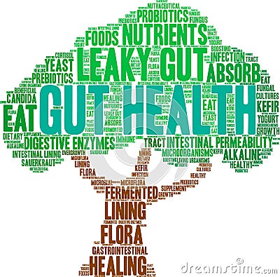 Gut Health Word Cloud Stock Photo