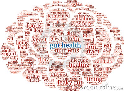 Gut Health Word Cloud Vector Illustration