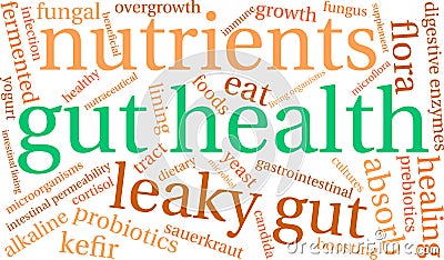 Gut Health Word Cloud Stock Photo