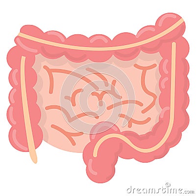 Gut human digestive system icon, vector illustration Vector Illustration