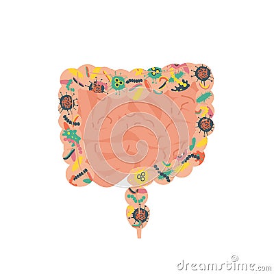 Gut human digestive system Vector Illustration