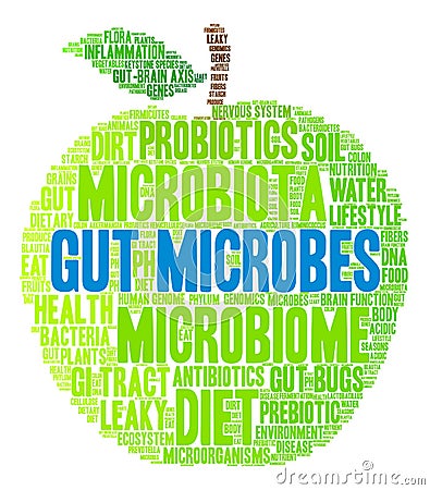 Gut Microbes Word Cloud Vector Illustration