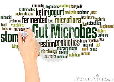 Gut Microbes word cloud hand writing concept Stock Photo