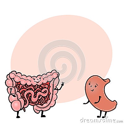 Gut and stomach characters with space for text Vector Illustration