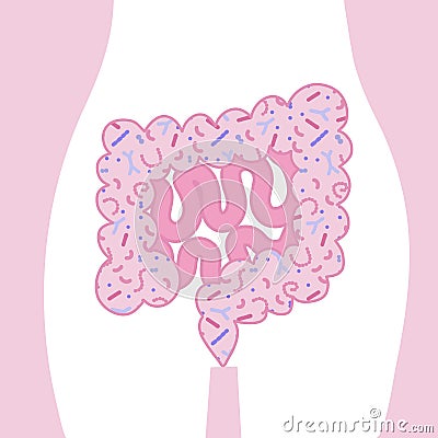 Guts with Microbiome in the human body. Intestines on the background of the silhouette of the pelvis. Colon flat vector Vector Illustration