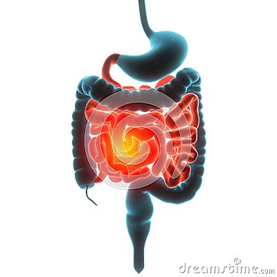 Guts organ pain Cartoon Illustration