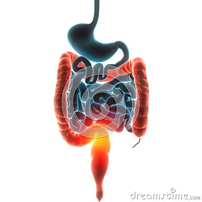 Guts organ pain Cartoon Illustration