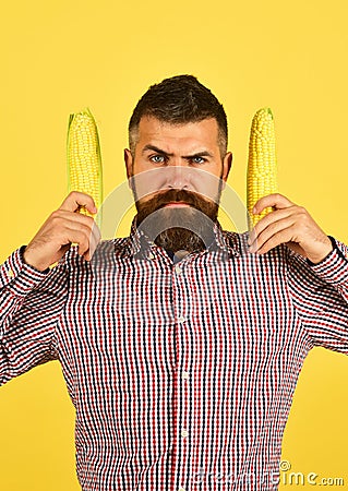 Guy shows his harvest. Agriculture and fall crops concept. Stock Photo