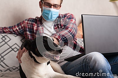 The guy works at home on freelance with his pet. The guy interacts with a dog on the couch with a medical mask Stock Photo