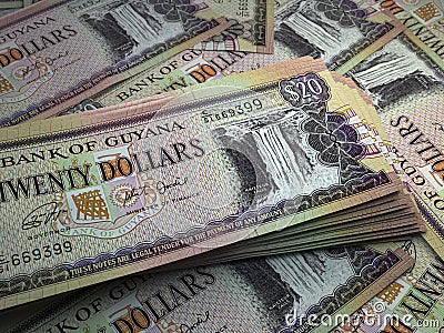 Guyanese money. Guyanese dollar banknotes. 20 GYD dollars bills Stock Photo