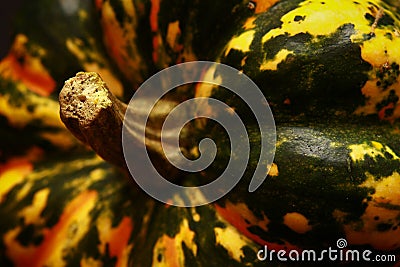 A mottled coloured halloween pumpkin Stock Photo