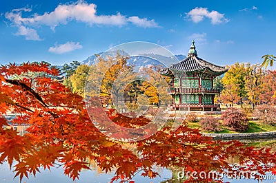 Gyeongbokgung Palace and Soft focus of Maple tree in autumn,Kore Stock Photo