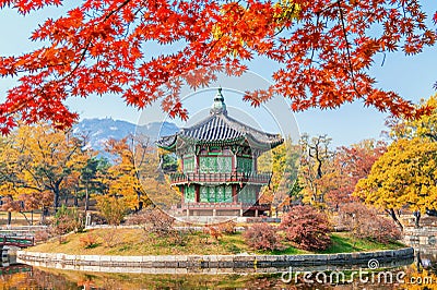 Gyeongbukgung and Maple tree in autumn in korea. Stock Photo