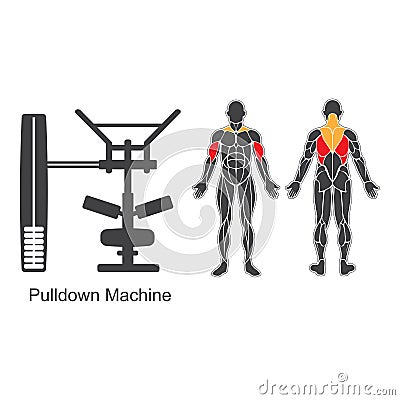 Gym pulldown machine Vector Illustration