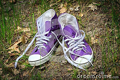 Gymshoes in green grass Stock Photo