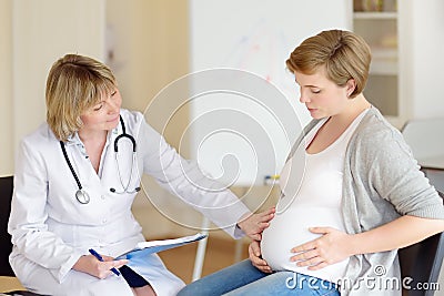 Gynecologist doctor accepts of a pregnant woman. Medical insurance childbearing. Family doctor for gestation. Maternity leave Stock Photo