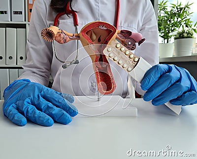 Gynecologist holding female genital organ and contraceptives Stock Photo